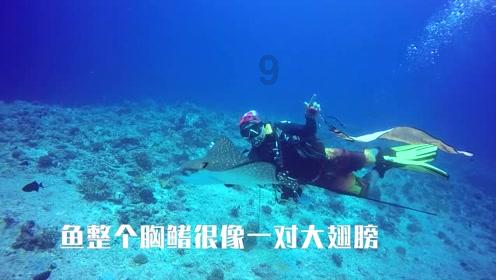 【两会·词解】罗丰代表:夯实要素 提升业态 让织金洞景区更有吸引力